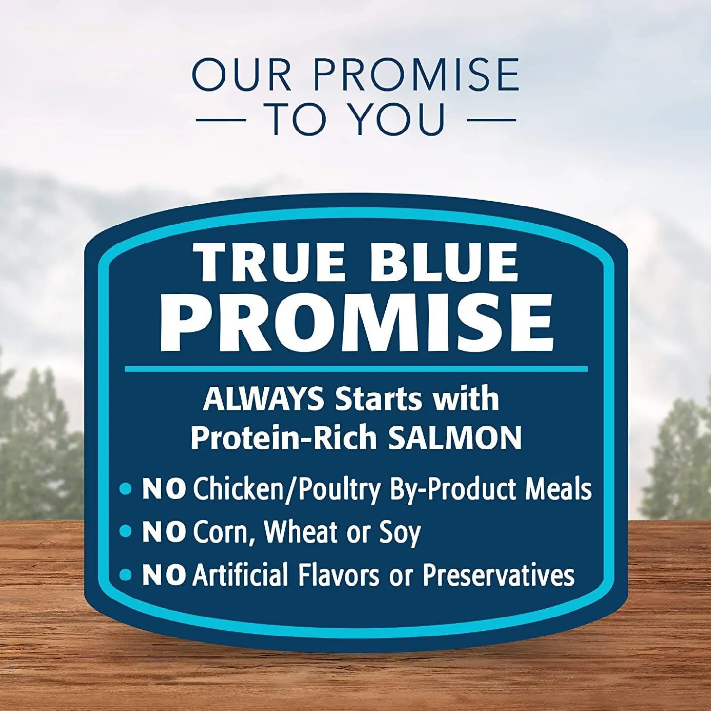 Wilderness Grain Free Salmon Recipe Kitten Cat Food