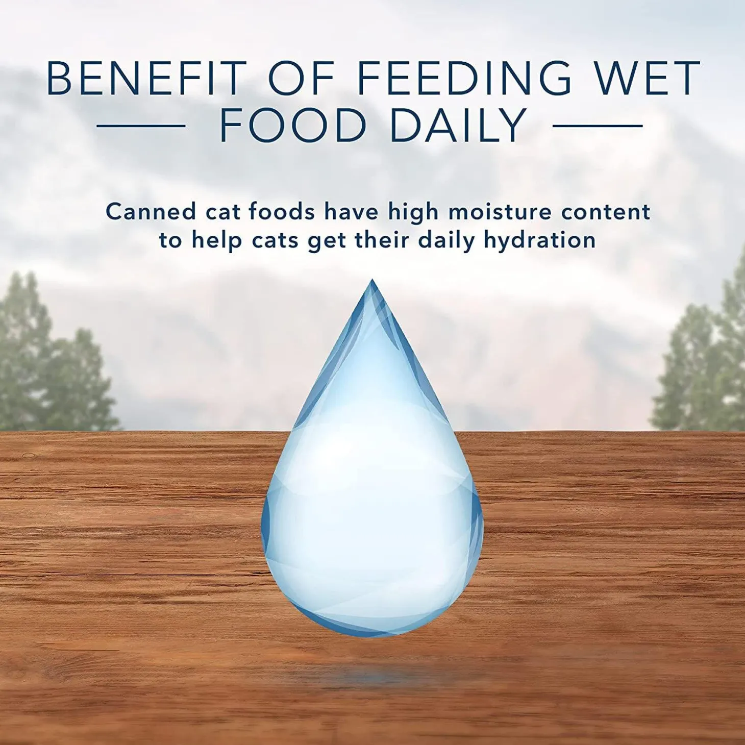 Wilderness Grain Free Turkey Recipe Adult Cat Food