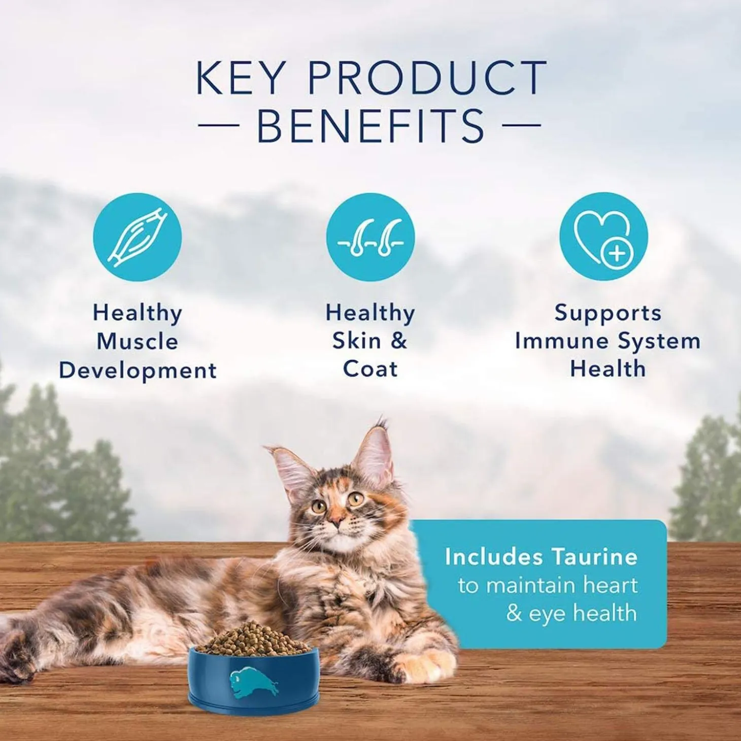Wilderness Salmon Recipe Adult Cat Food