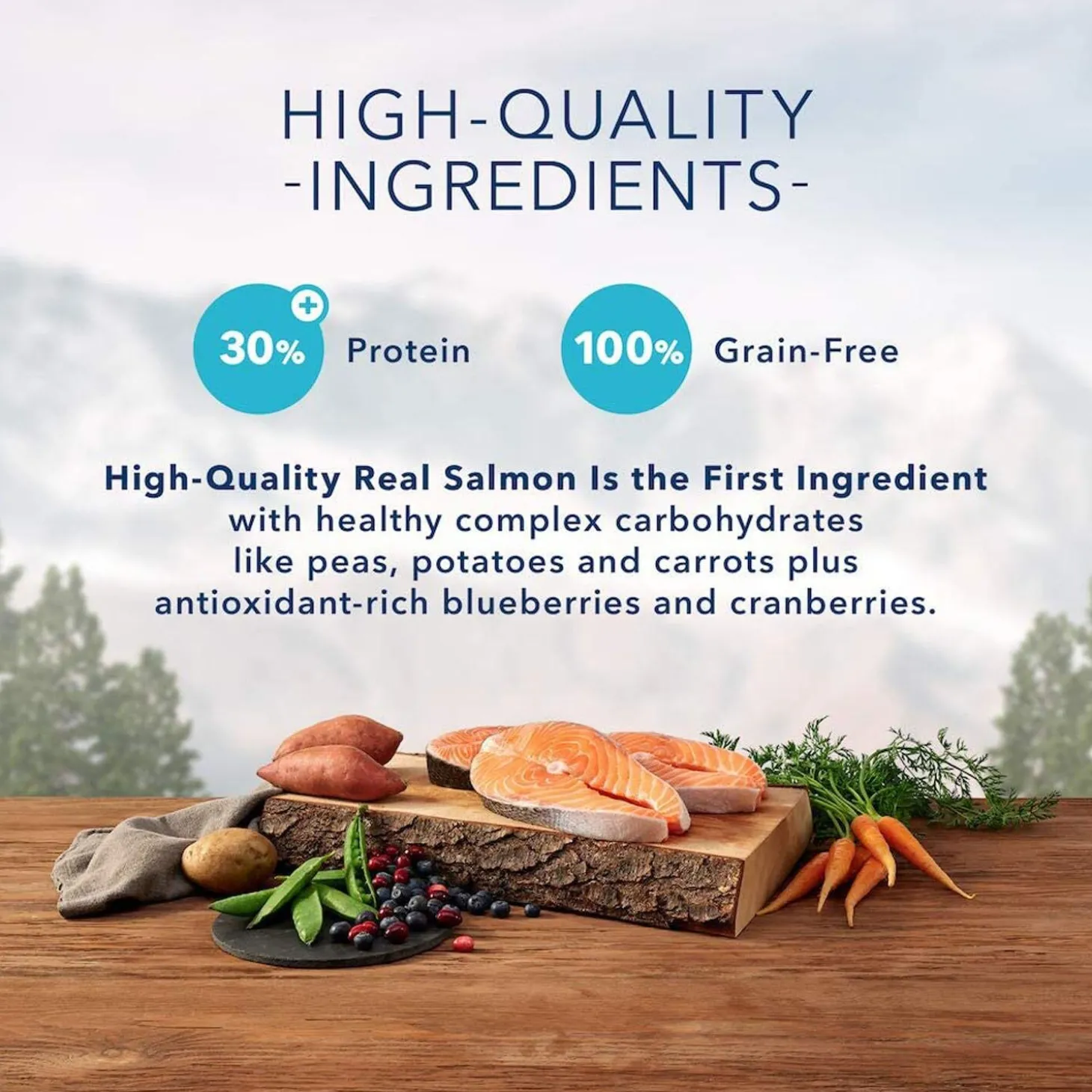 Wilderness Salmon Recipe Adult Cat Food