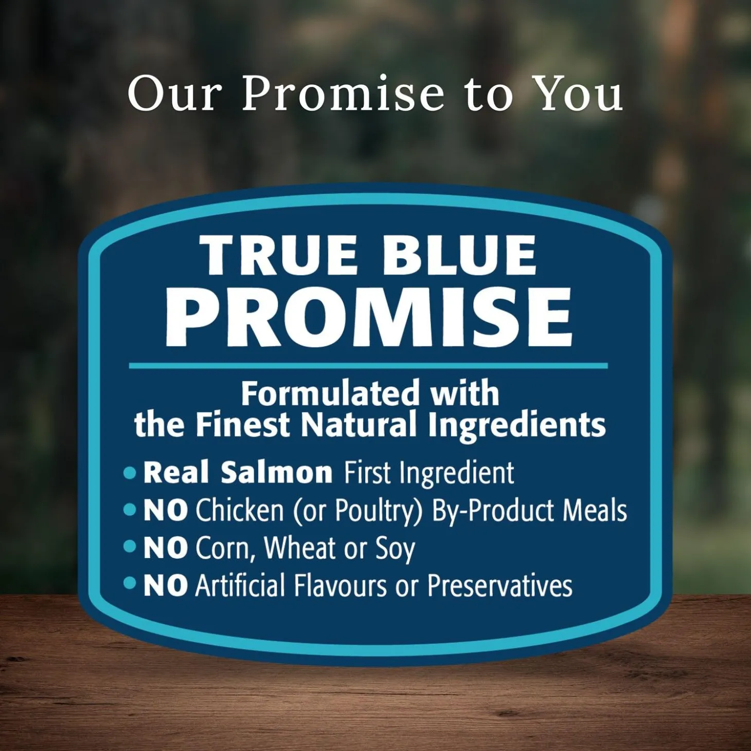 Wilderness Salmon With Grain Recipe Adult Dog Food
