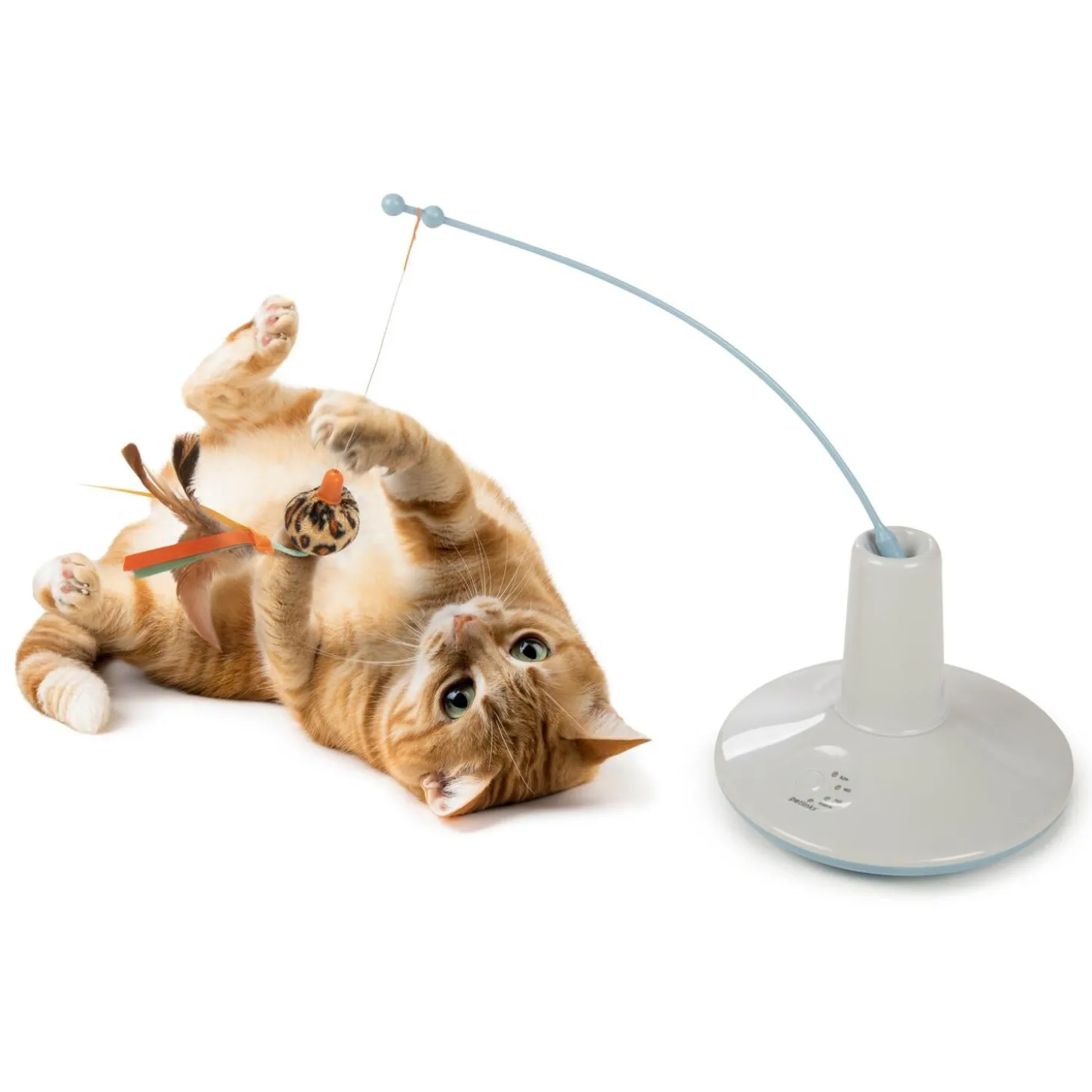 Wild Wand Cat Toy
