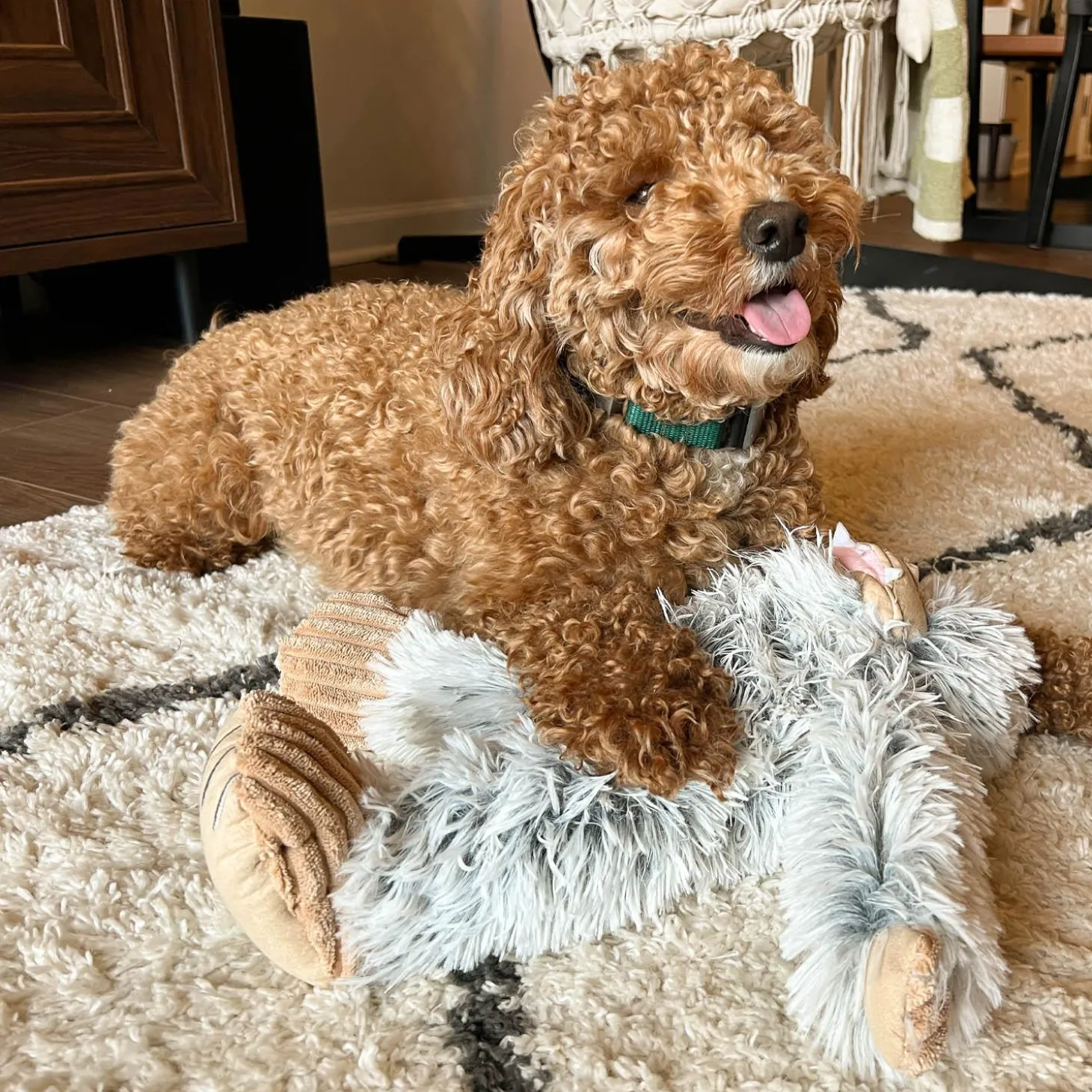 Yeti Plush with Squeaker Dog Toy